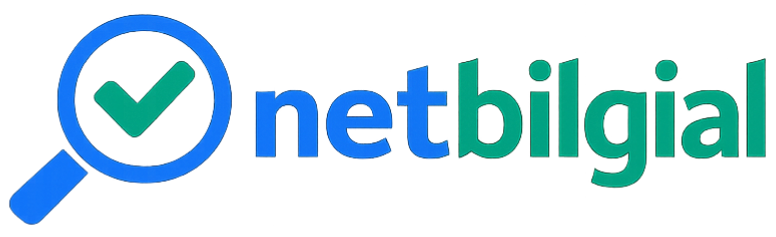 netbilgial.com